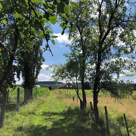 Carpe Diem Scheuerfeld