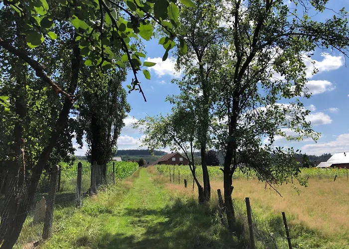 Carpe Diem Scheuerfeld