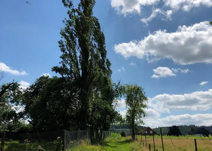 Carpe Diem * Scheuerfeld